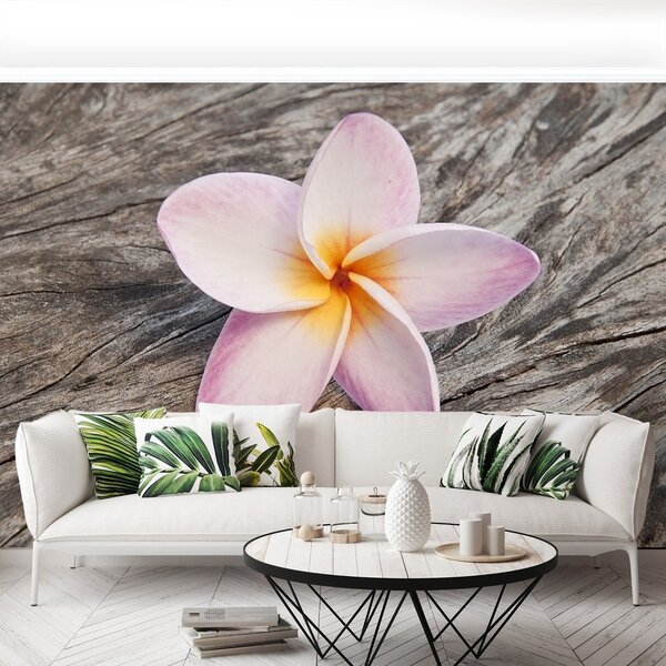 Fototapeta Vliesová Frangipani wood 104x70 cm