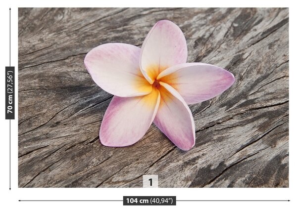 Fototapeta Vliesová Frangipani wood 104x70 cm