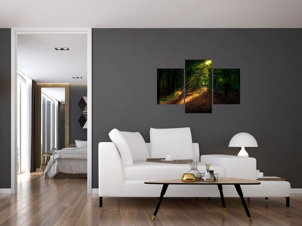 Obraz lesnej cesty (90x60 cm)