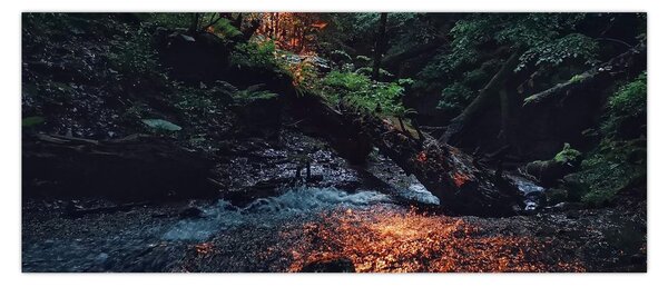 Obraz horskej riečky (120x50 cm)