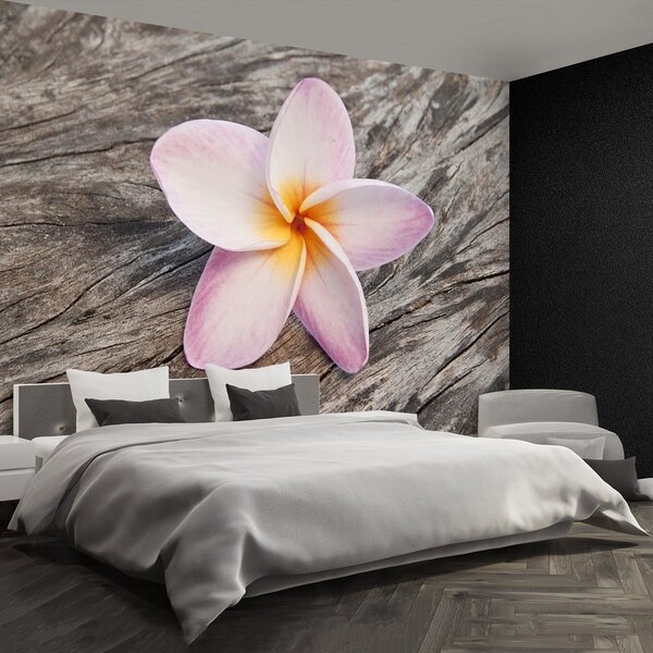 Fototapeta Vliesová Frangipani wood 104x70 cm