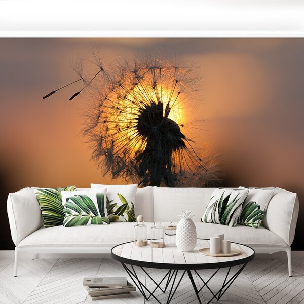 Fototapeta Vliesová Púpava slnka. 104x70 cm