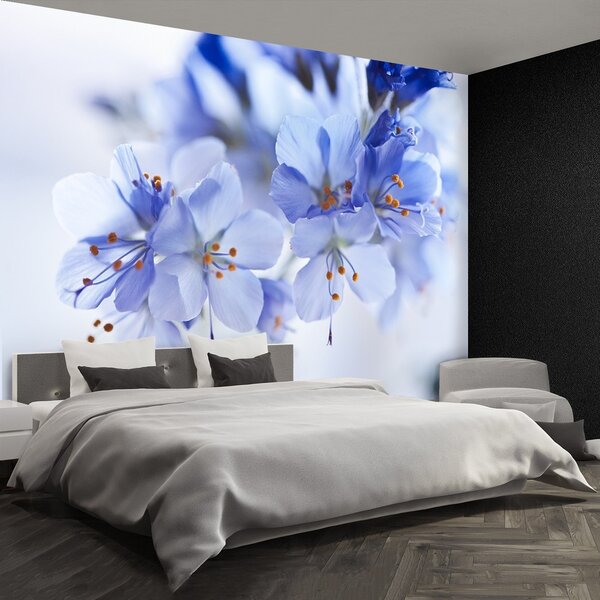 Fototapeta Vliesová Modré kvety 250x104 cm