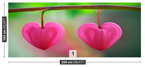 Fototapeta Vliesová Kvetinové srdce 250x104 cm