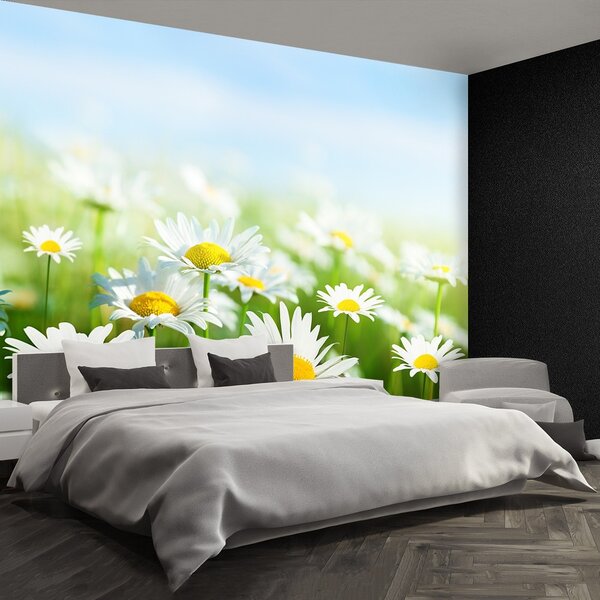 Fototapeta Vliesová Zelená sedmokráska 104x70 cm