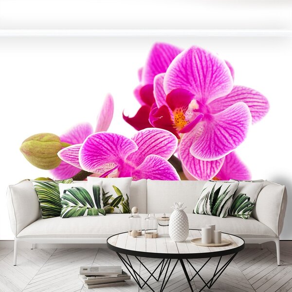 Fototapeta Vliesová Kvety orchideí 104x70 cm
