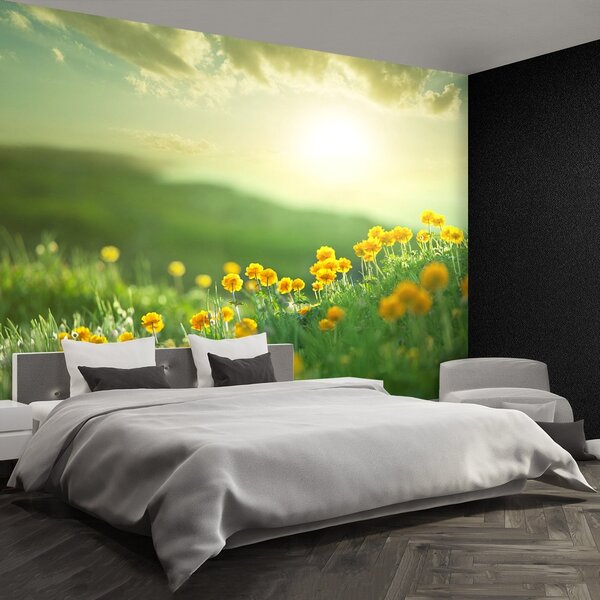 Fototapeta Vliesová Lúka 152x104 cm