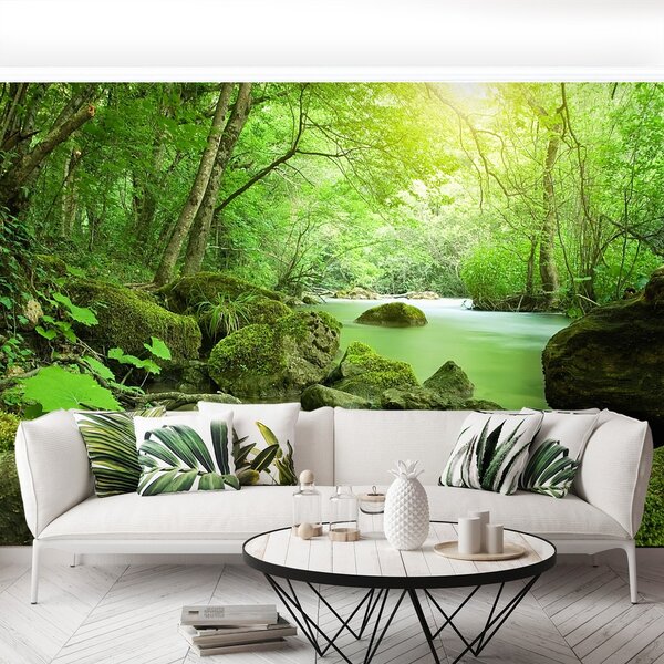 Fototapeta Vliesová Lesná rieka 104x70 cm