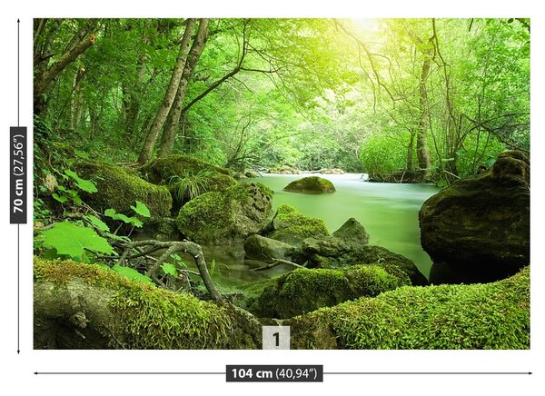 Fototapeta Vliesová Lesná rieka 104x70 cm