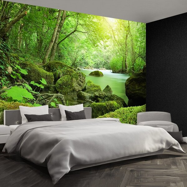 Fototapeta Vliesová Lesná rieka 104x70 cm
