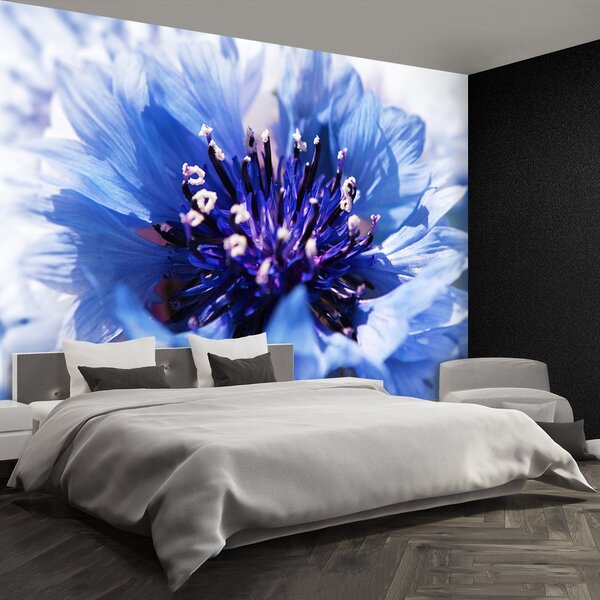 Fototapeta Vliesová Nevädza modrá 104x70 cm