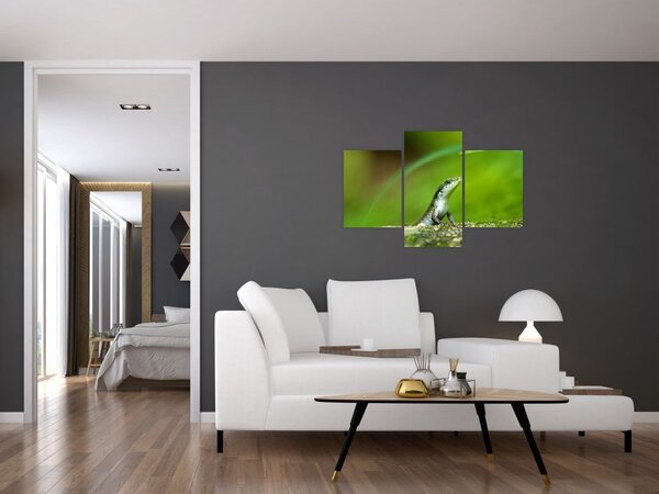 Obraz jašteričky (90x60 cm)