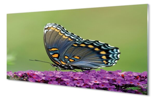 Sklenený obraz Farebný motýľ na kvety 100x50 cm 2 Prívesky