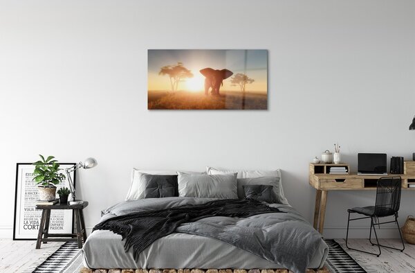 Obraz na skle Sloní strom na východ 100x50 cm 2 Prívesky