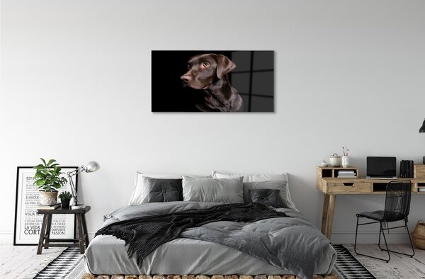 Sklenený obraz hnedý pes 100x50 cm 2 Prívesky