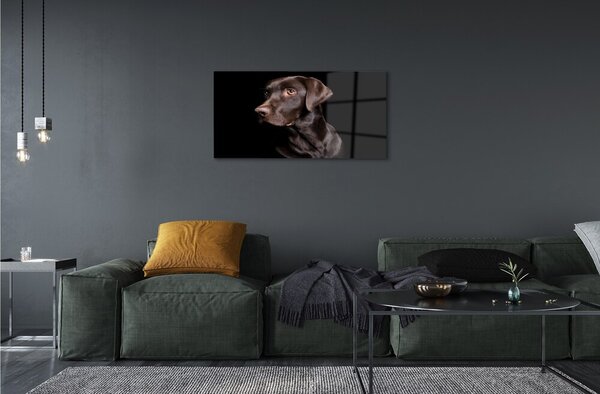 Sklenený obraz hnedý pes 100x50 cm 2 Prívesky