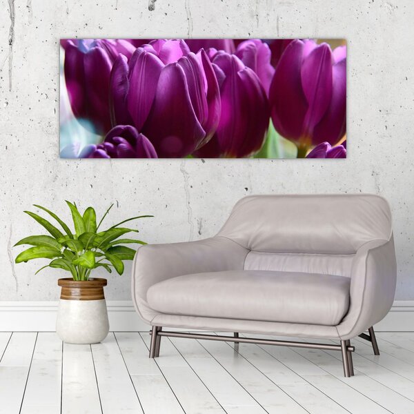 Obraz tulipánov (120x50 cm)