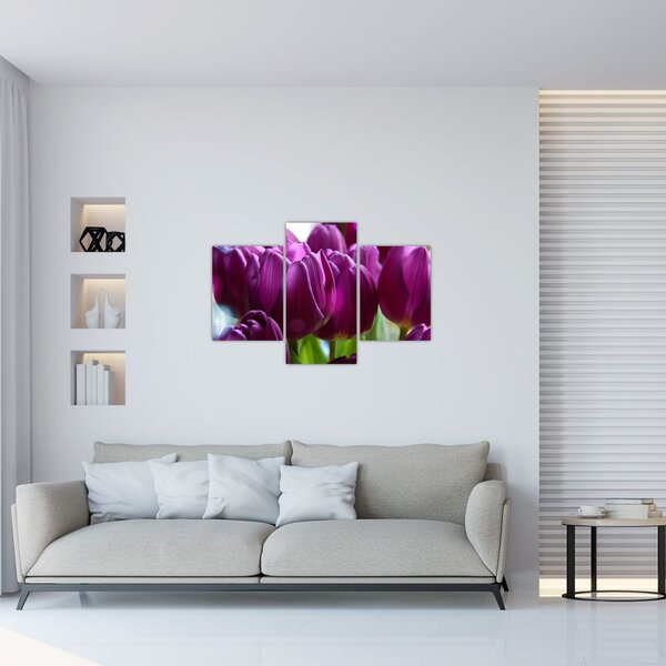 Obraz tulipánov (90x60 cm)