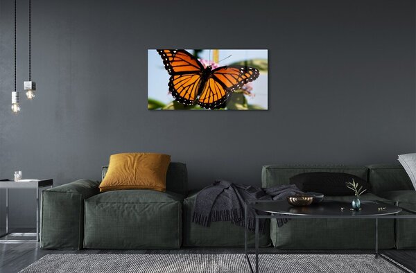 Sklenený obraz farebný motýľ 120x60 cm 2 Prívesky