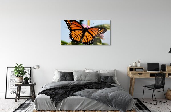 Sklenený obraz farebný motýľ 120x60 cm 2 Prívesky