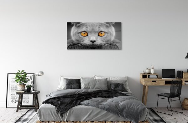 Sklenený obraz Sivá Britská mačka 100x50 cm 2 Prívesky