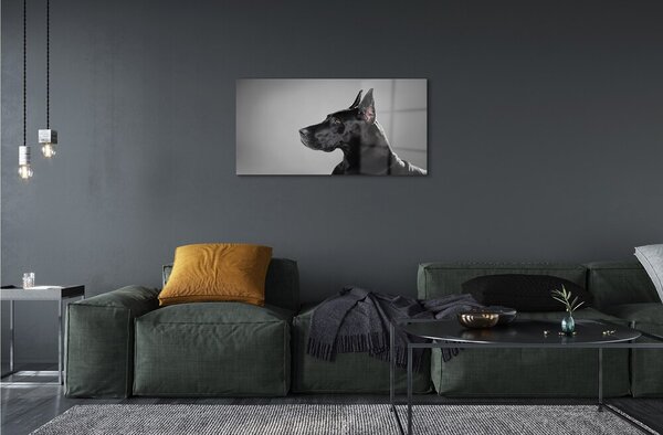 Sklenený obraz Čierny pes 100x50 cm 2 Prívesky
