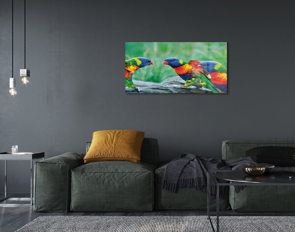 Sklenený obraz Farebný papagáj stromu 100x50 cm 2 Prívesky