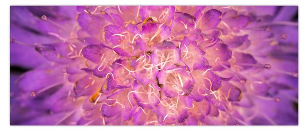 Detailný obraz kvetu (120x50 cm)