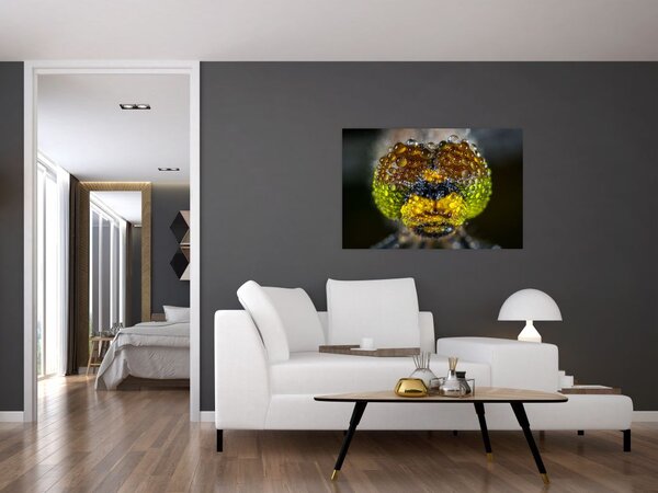 Detailný obraz očí hmyzu (90x60 cm)