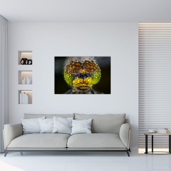 Detailný obraz očí hmyzu (90x60 cm)