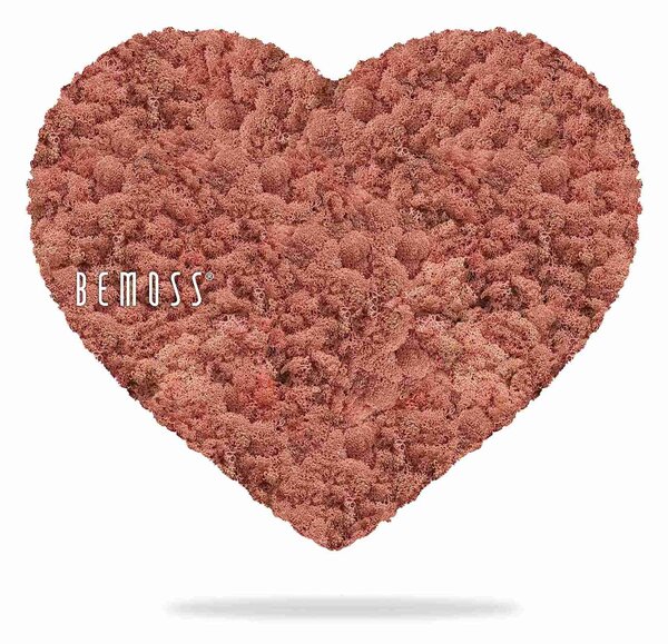 Machové SRDCE LIŠAJNÍK mono PINK - v375 x š440 mm