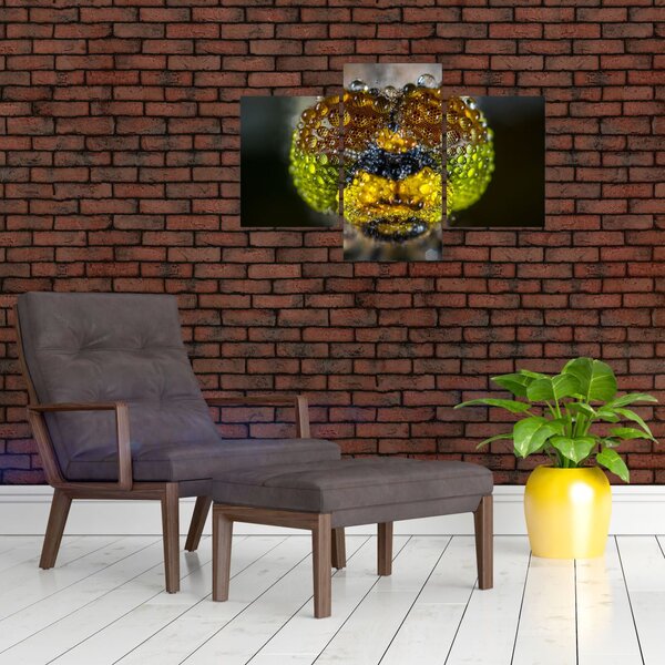 Detailný obraz očí hmyzu (90x60 cm)