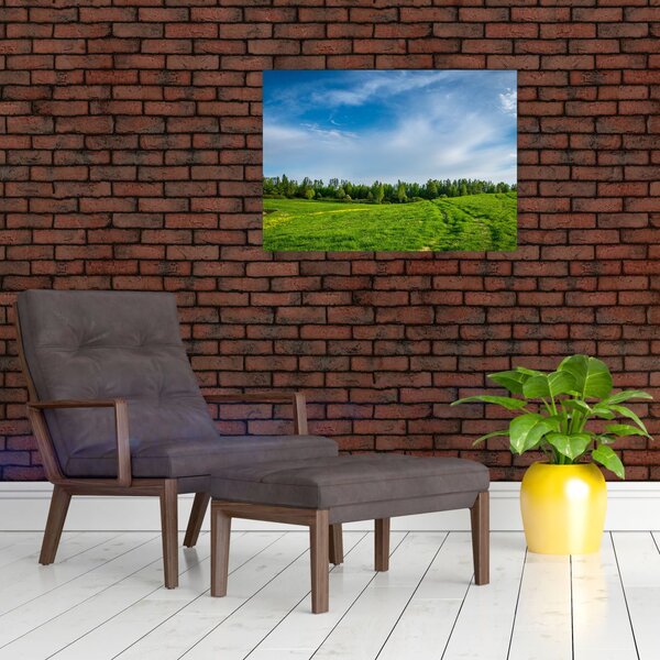 Obraz lúky (70x50 cm)