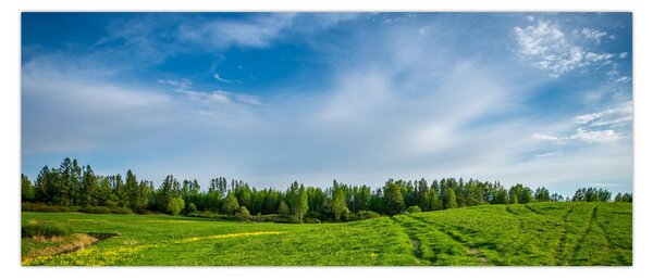 Obraz lúky (120x50 cm)