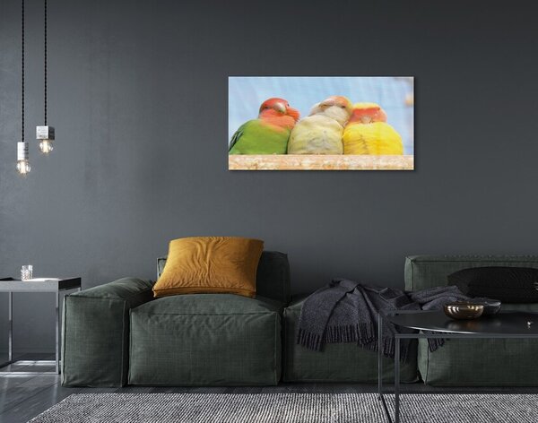 Sklenený obraz farebný papagáj 100x50 cm 2 Prívesky
