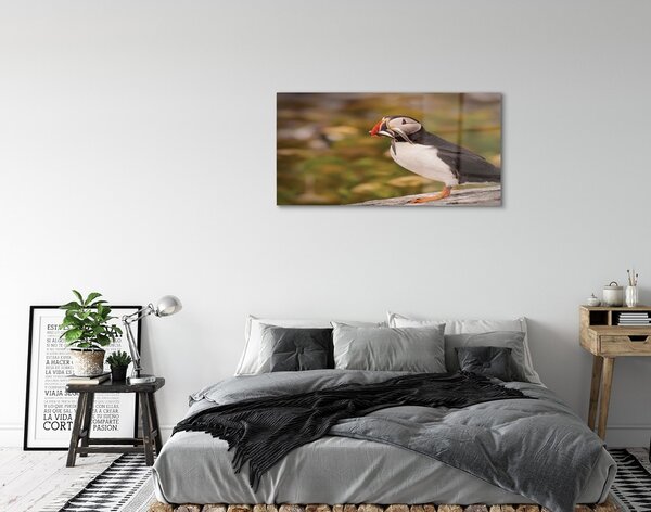 Sklenený obraz Papagáj 100x50 cm 2 Prívesky
