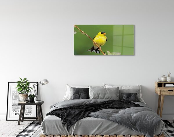 Sklenený obraz žltý papagáj 100x50 cm 2 Prívesky