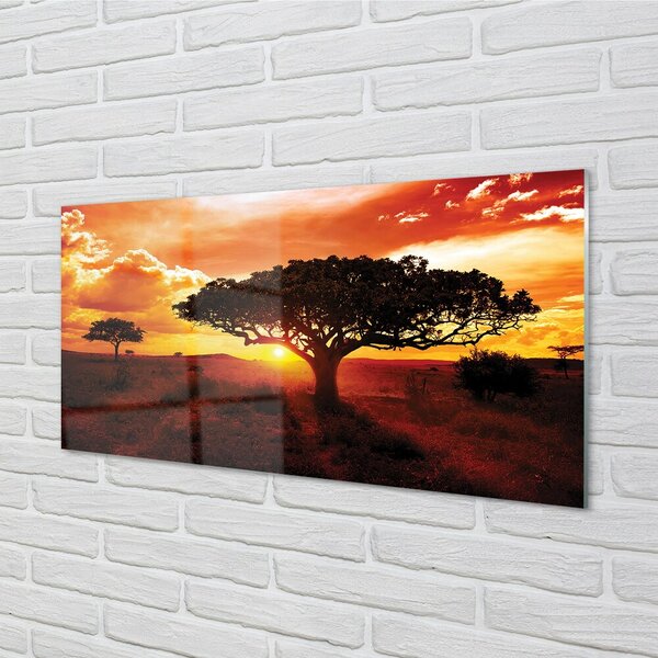 Obraz na skle Stromy mraky západ 100x50 cm 2 Prívesky