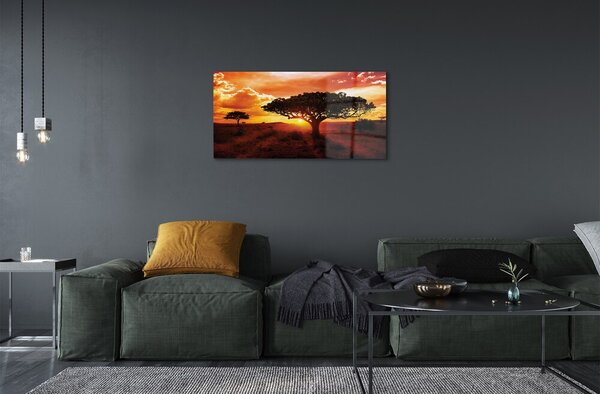 Obraz na skle Stromy mraky západ 100x50 cm 2 Prívesky