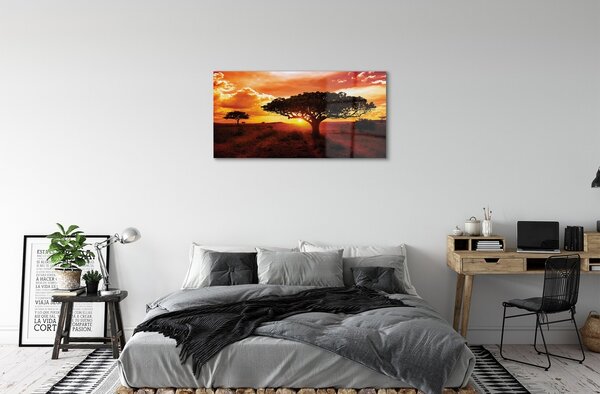 Obraz na skle Stromy mraky západ 100x50 cm 2 Prívesky
