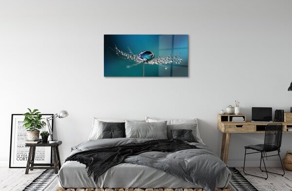 Obraz na skle Kvapky makro púpava 100x50 cm 2 Prívesky