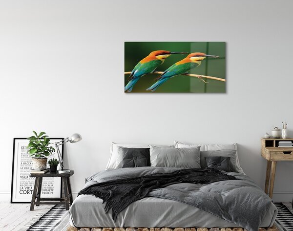 Sklenený obraz Farebné papagáj na vetve 100x50 cm 2 Prívesky