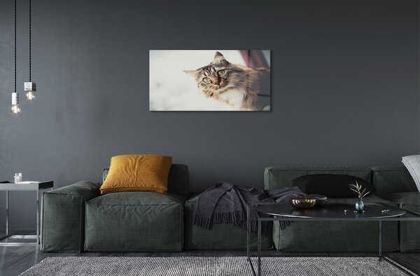 Sklenený obraz Mainská mývalia mačka 100x50 cm 2 Prívesky