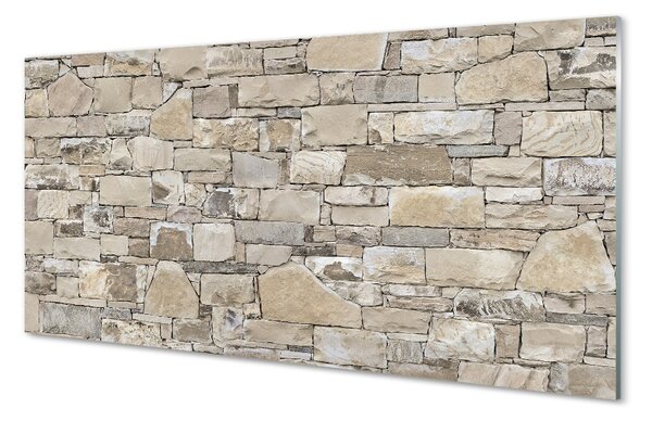 Obraz na skle Kamenná múr wall 100x50 cm 2 Prívesky