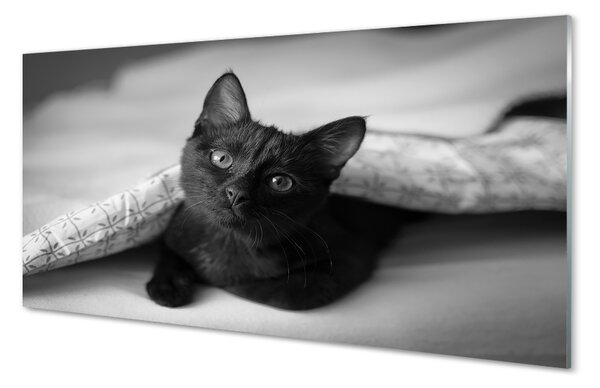 Sklenený obraz Mačka pod prikrývkou 100x50 cm 2 Prívesky