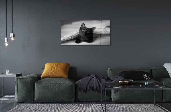 Sklenený obraz Mačka pod prikrývkou 100x50 cm 2 Prívesky