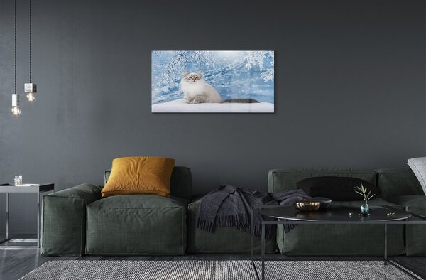 Sklenený obraz mačka zima 100x50 cm 2 Prívesky