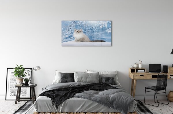 Sklenený obraz mačka zima 100x50 cm 2 Prívesky