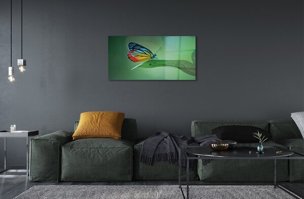 Sklenený obraz Farebný motýľ krídlo 100x50 cm 2 Prívesky