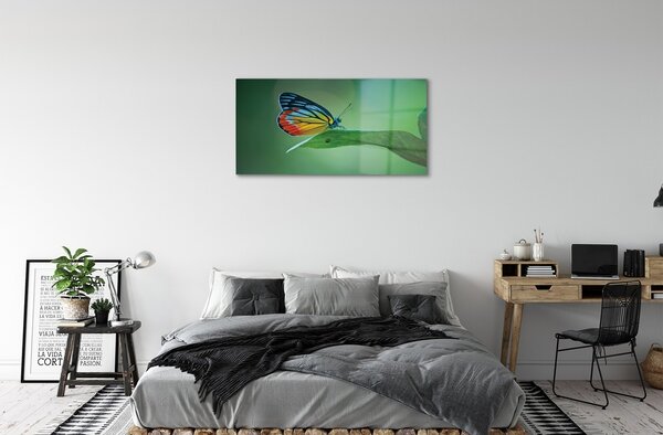 Sklenený obraz Farebný motýľ krídlo 100x50 cm 2 Prívesky